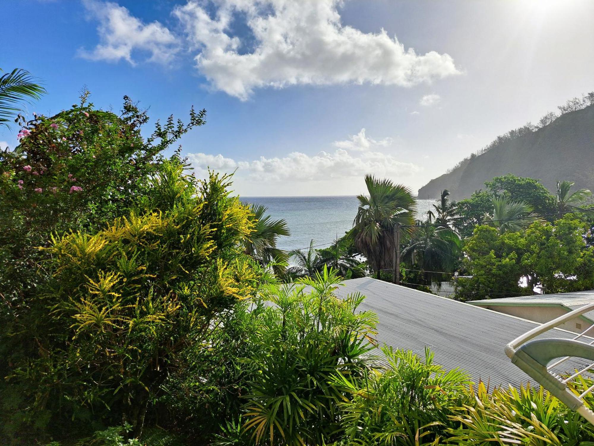 Bungalow Java - Bassin Manapany-Les-Bains Saint-Joseph Bagian luar foto